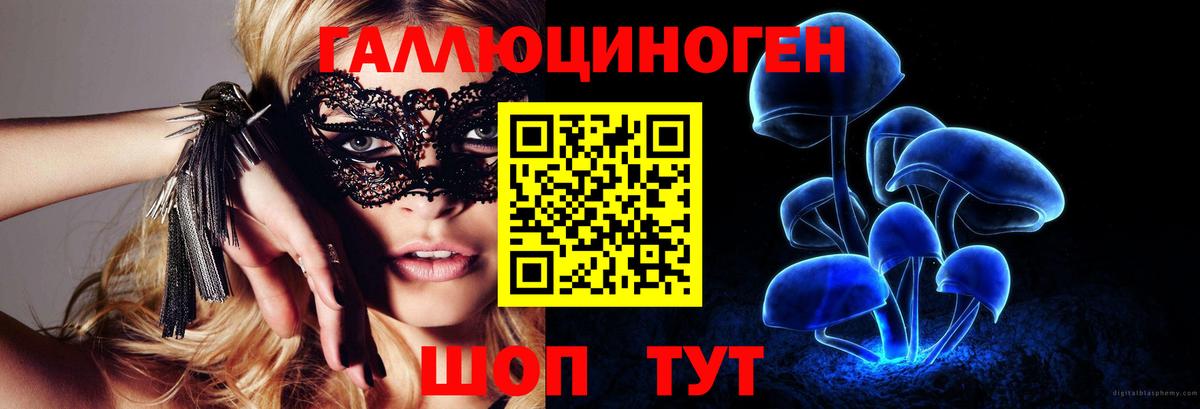 Псилоцибиновые грибы Psilocybe Ипатово