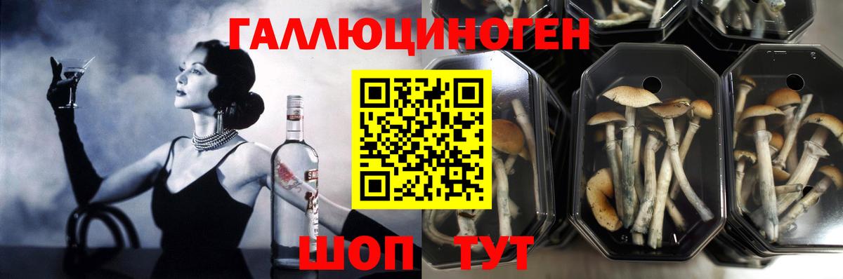 Ипатово  Псилоцибиновые грибы Magic Shrooms  Псилоцибиновые грибы Cubensis  Вход с VPN 